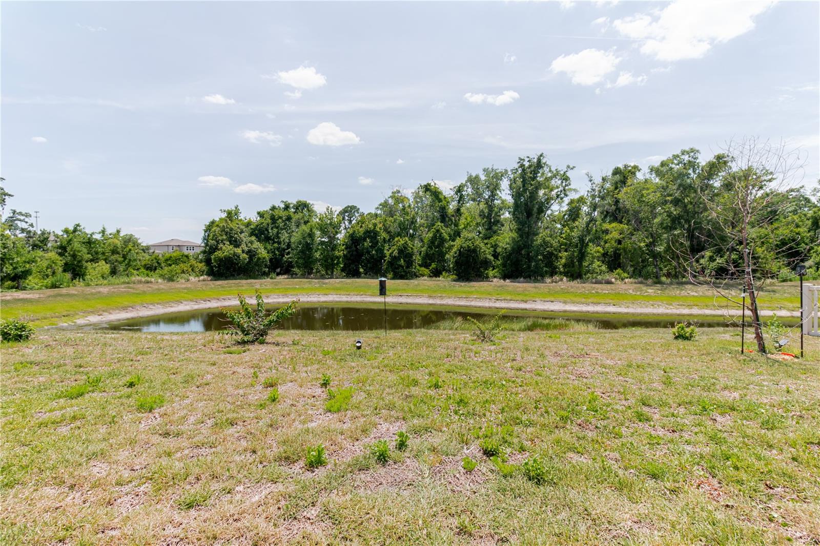17871 CORTES CREEK BLVD — photo 62