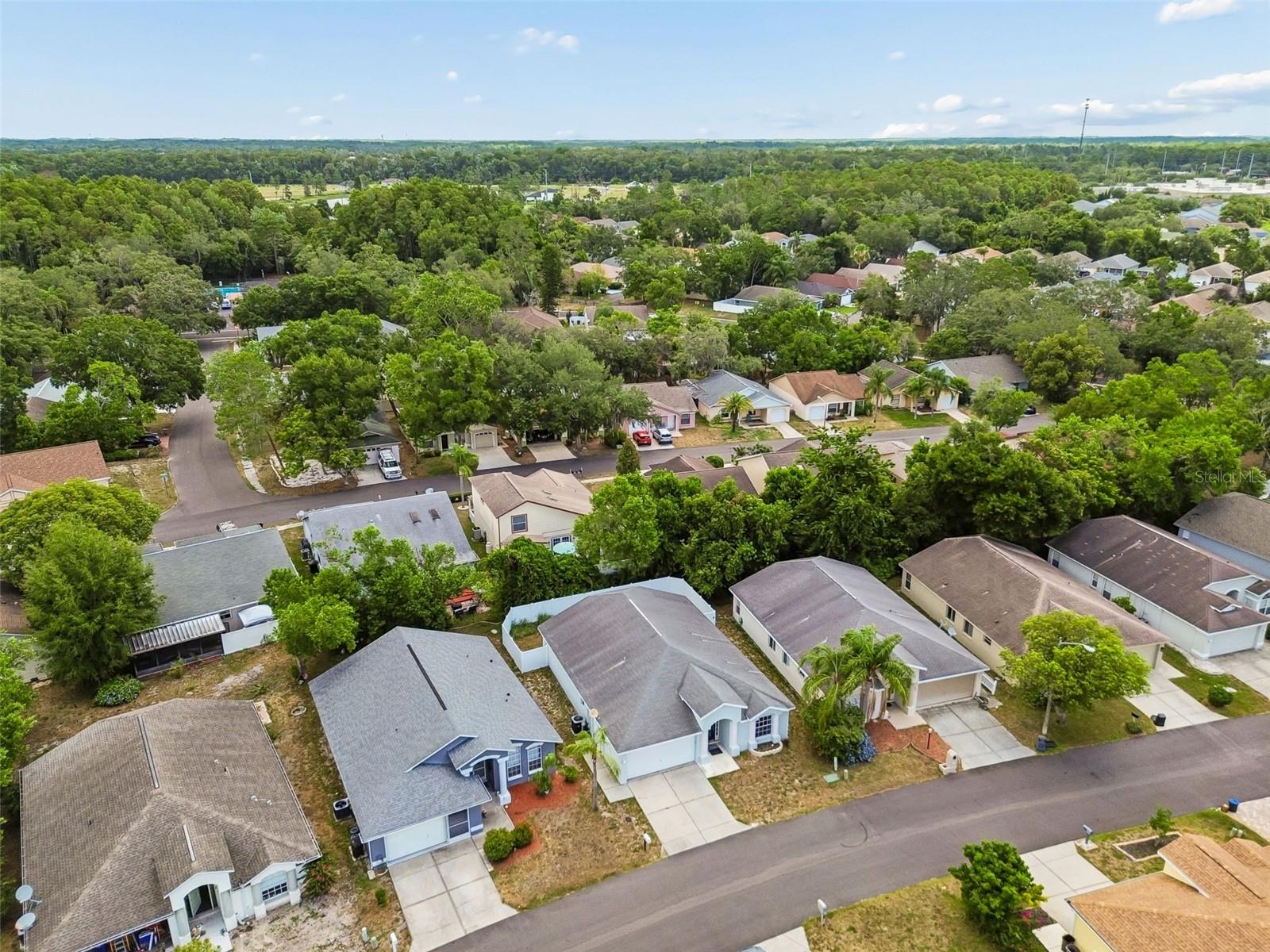 10903 NEW BRIGHTON COURT — photo 24