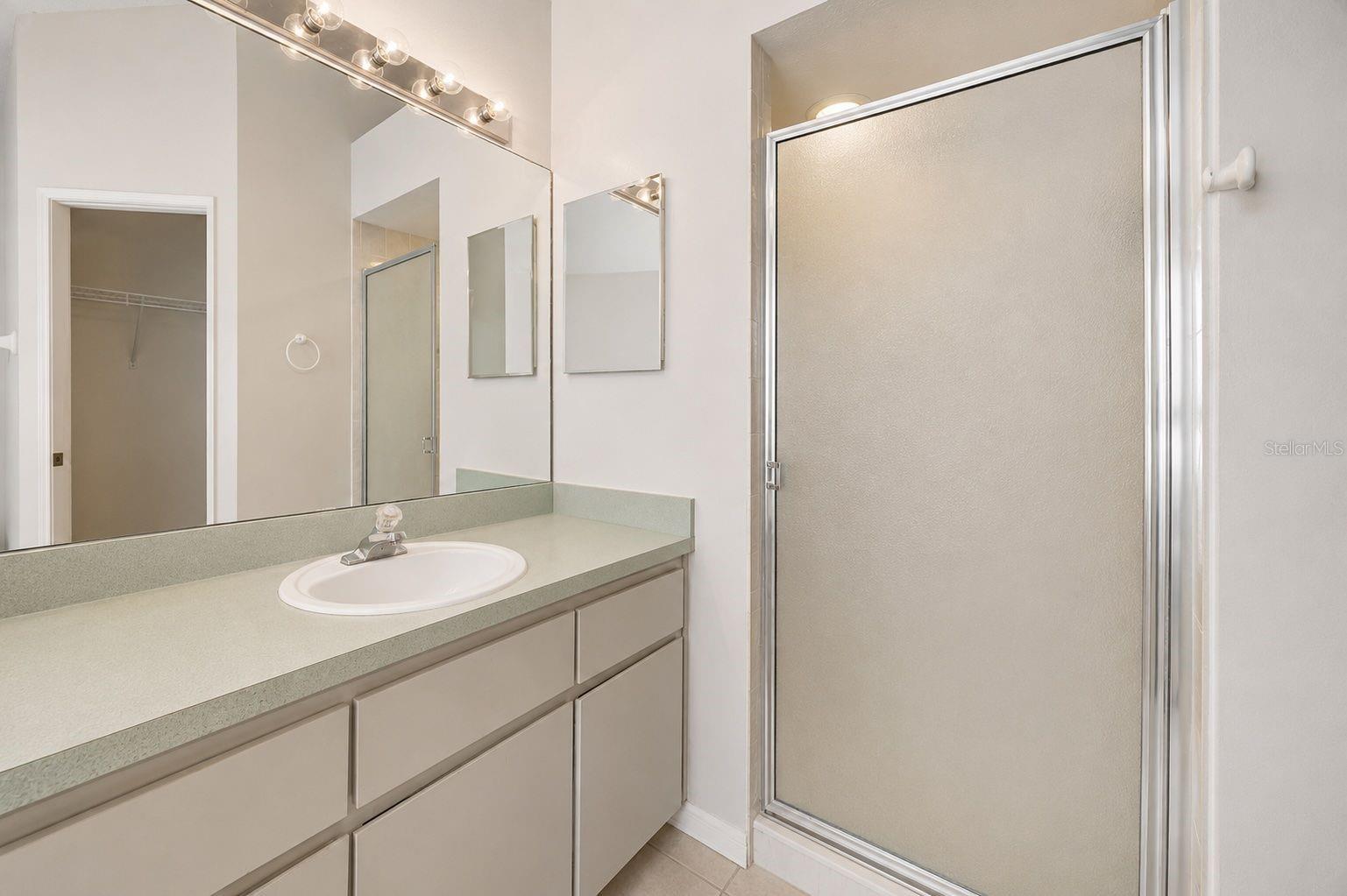 10903 NEW BRIGHTON COURT — photo 14