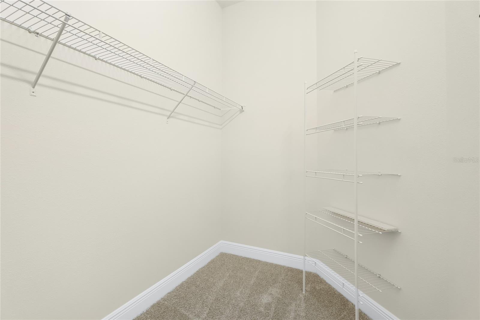 2003 BAMBOO PALM CV — photo 17