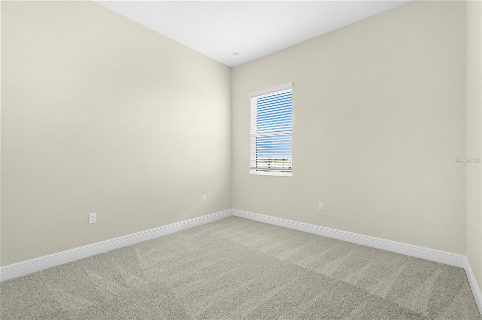2003 BAMBOO PALM CV — photo 24