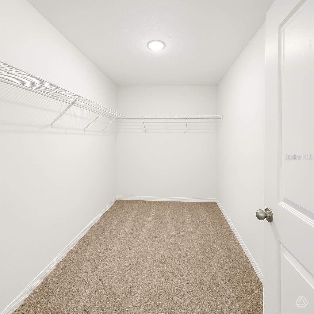 13213 SASSAFRAS TRL — photo 7