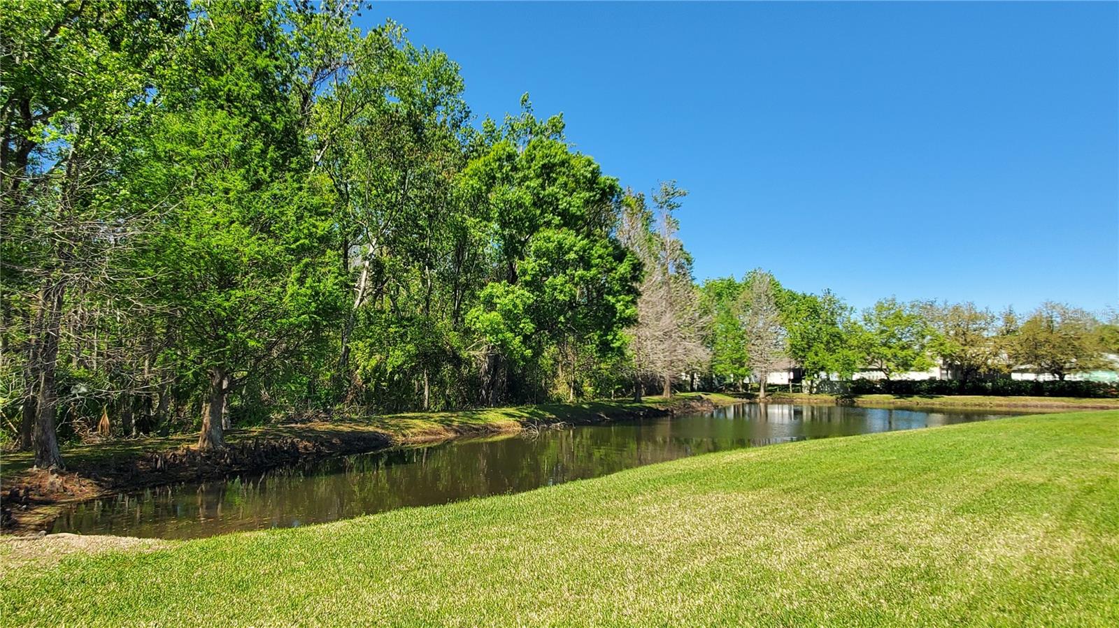 4535 WINDING RIVER WAY — photo 7