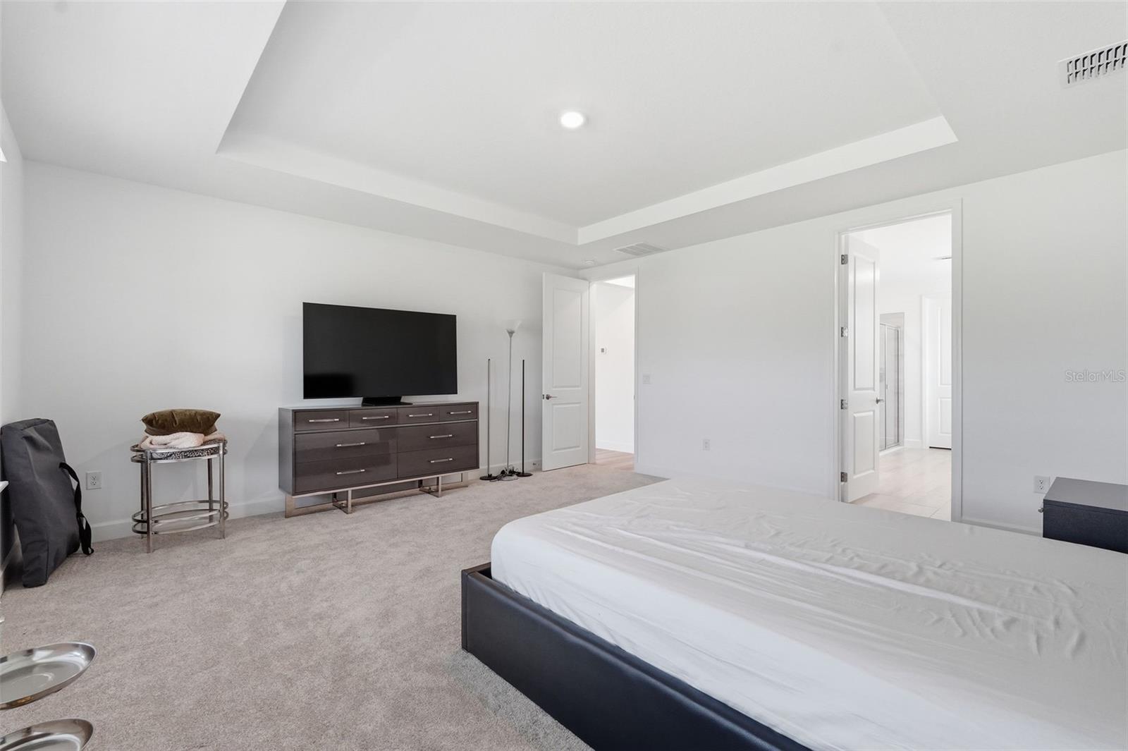 3321 LUMBER FALLS DR — photo 26