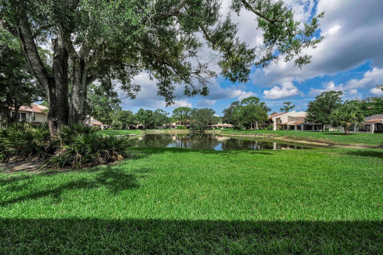 3505 TARPON WOODS BLVD #O-403 — photo 24