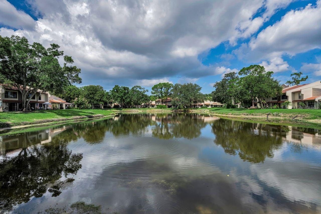 3505 TARPON WOODS BLVD #O-403 — photo 8