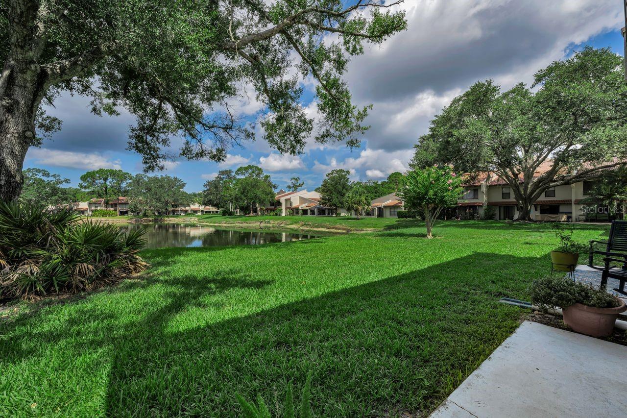 3505 TARPON WOODS BLVD #O-403 — photo 23