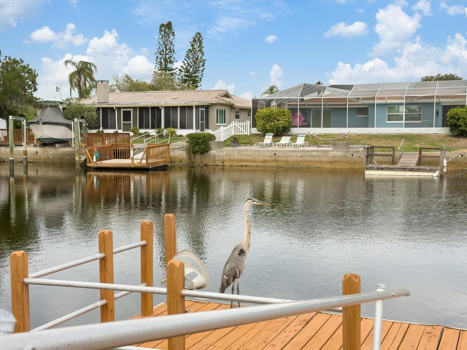 5008 DORY DR — photo 37