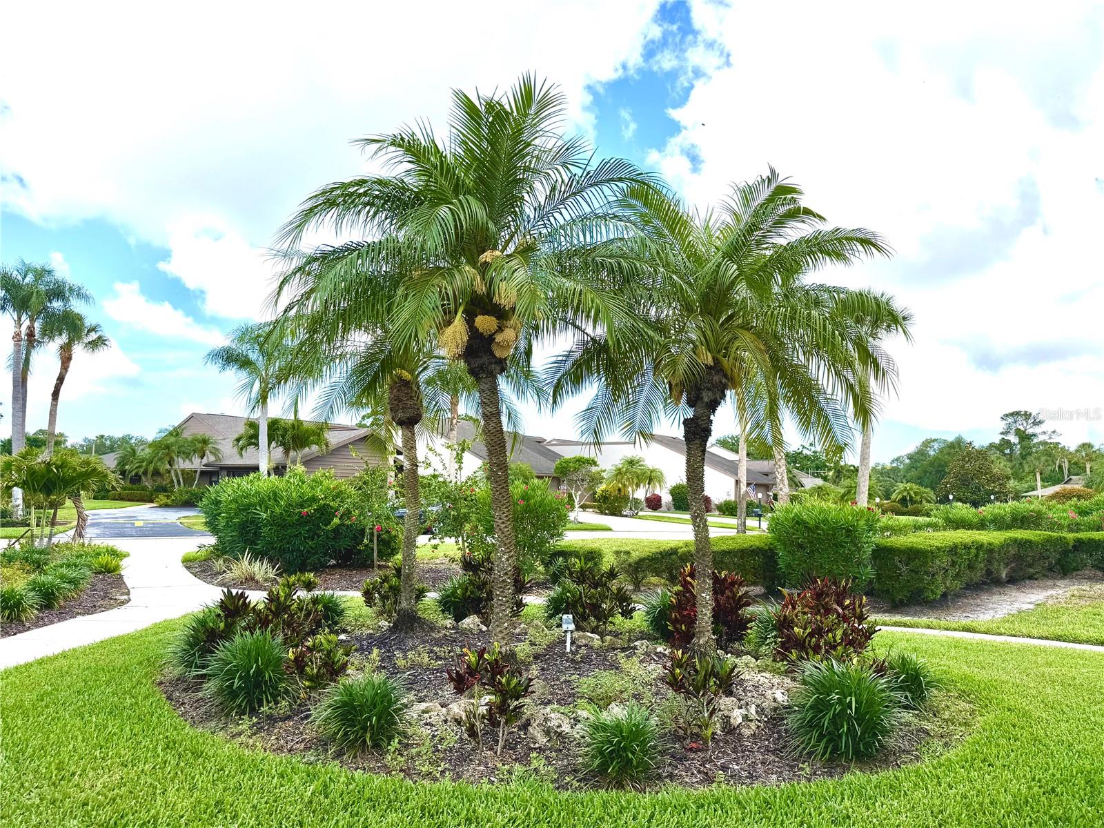 5813 MERION WAY #5813 — photo 35