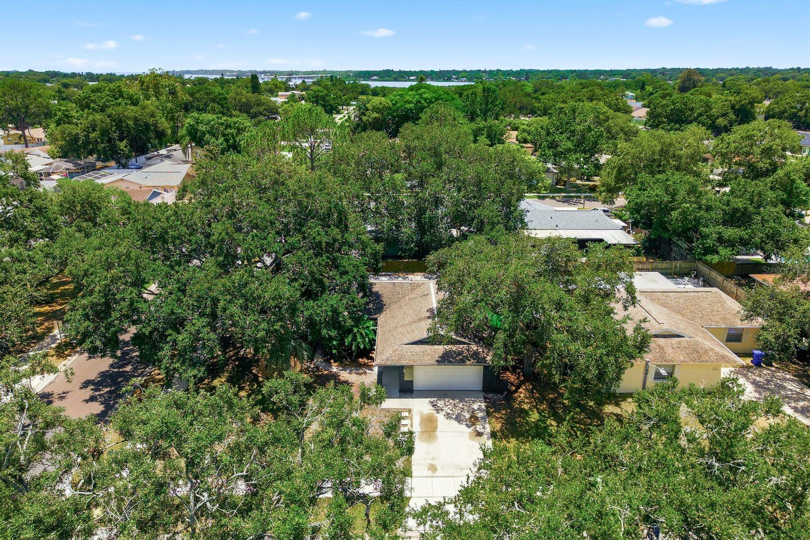442 EVERGREEN DR — photo 40