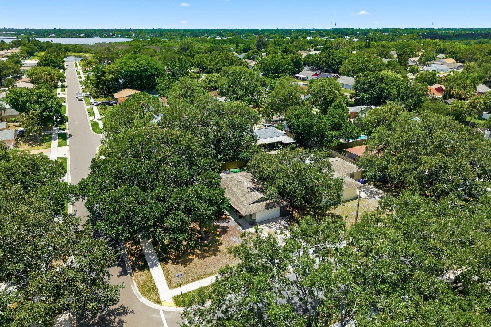 442 EVERGREEN DR — photo 41