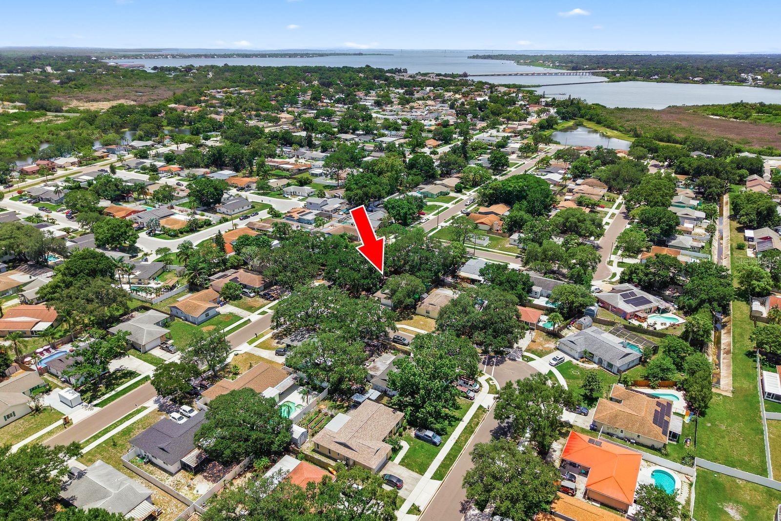 442 EVERGREEN DR — photo 44