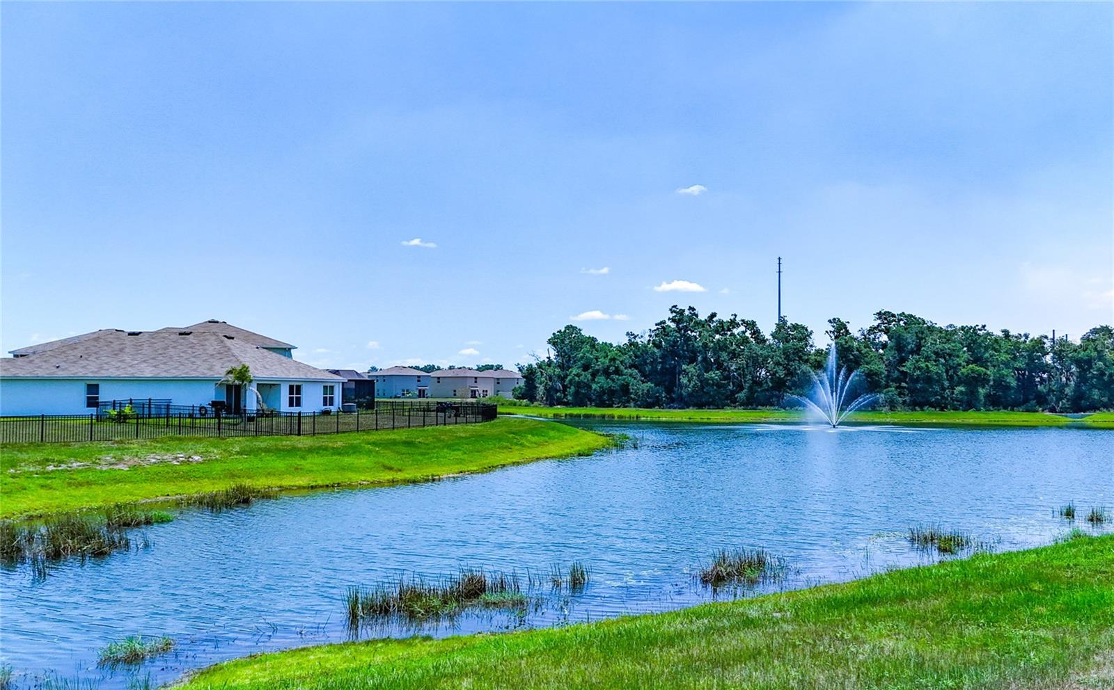 12142 MOUNTAIN ISLAND TRL — photo 31