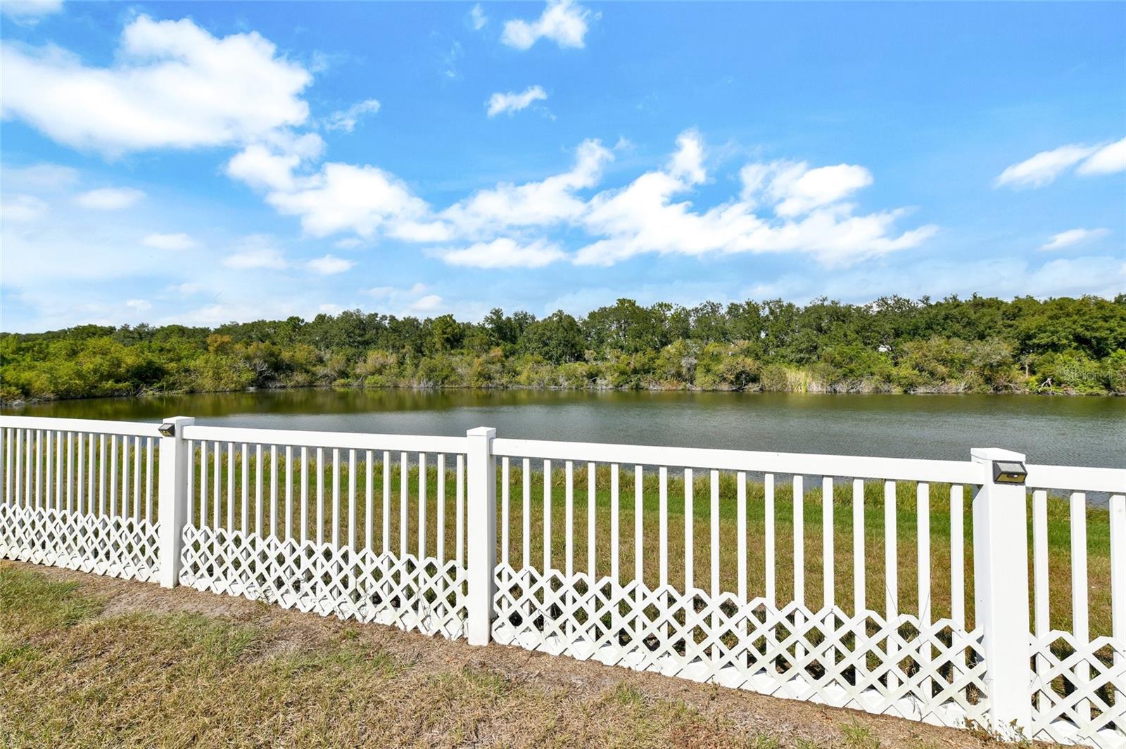 7514 FOREST MERE DR — photo 3