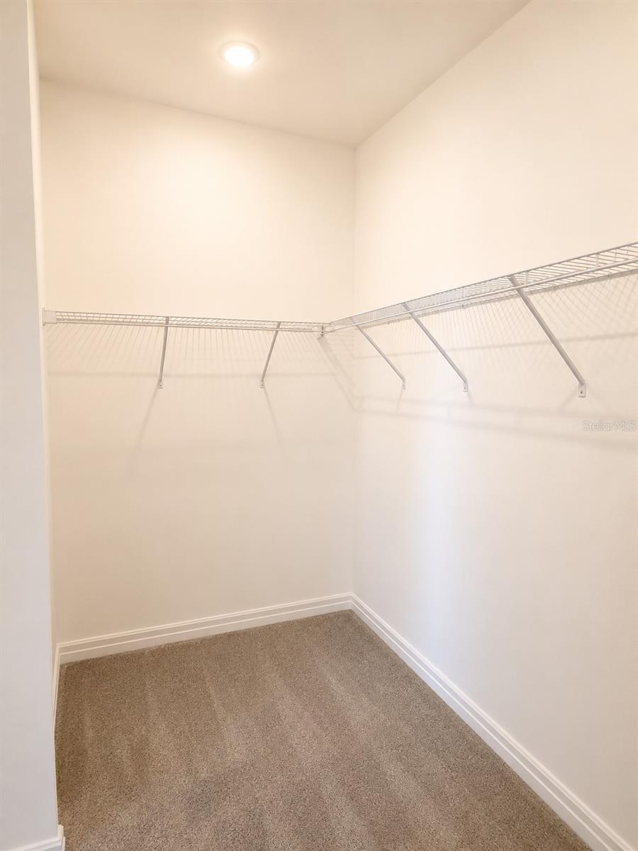 12558 COLONNADE VISTA DR — photo 12