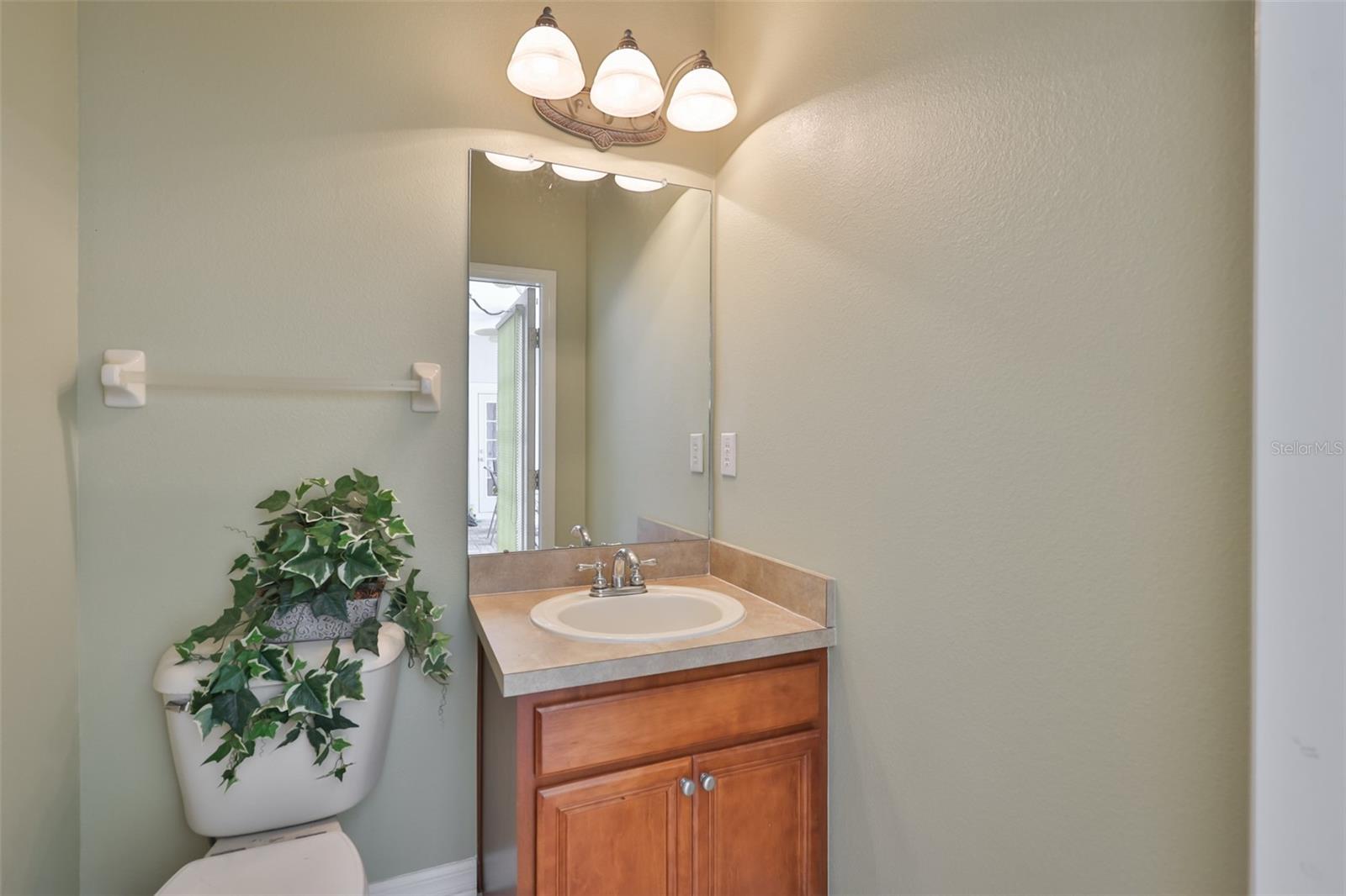 5229 BRIGHTON SHORE DR — photo 41