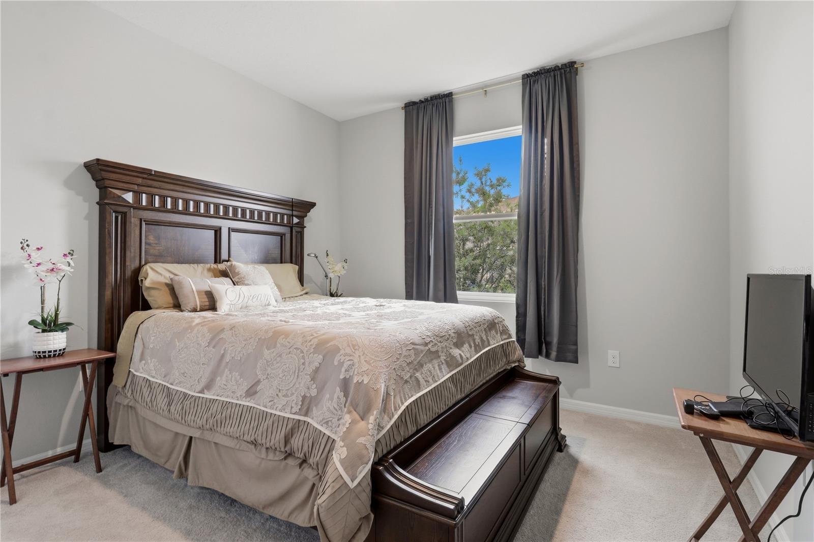 11316 SPOONBILL FLOCK WAY — photo 17