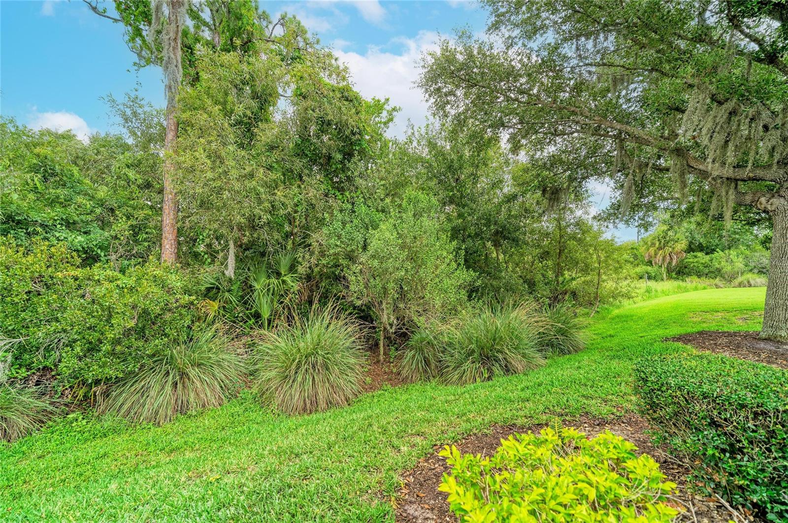 7361 WEXFORD CT — photo 52