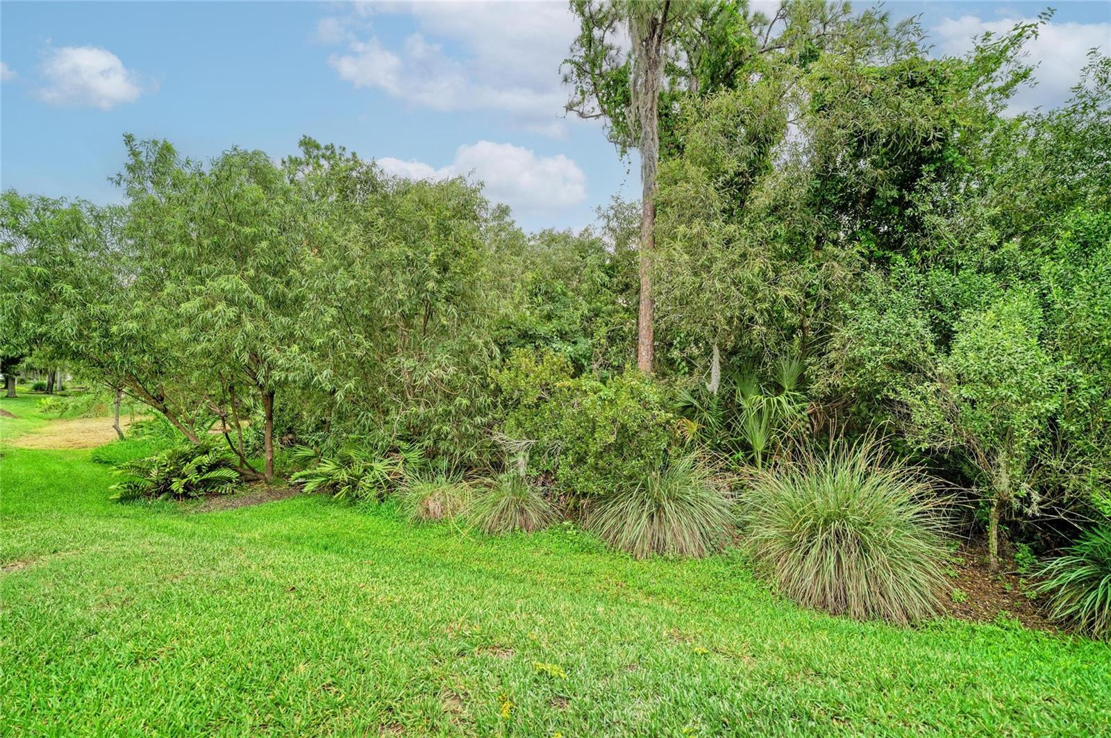 7361 WEXFORD CT — photo 51