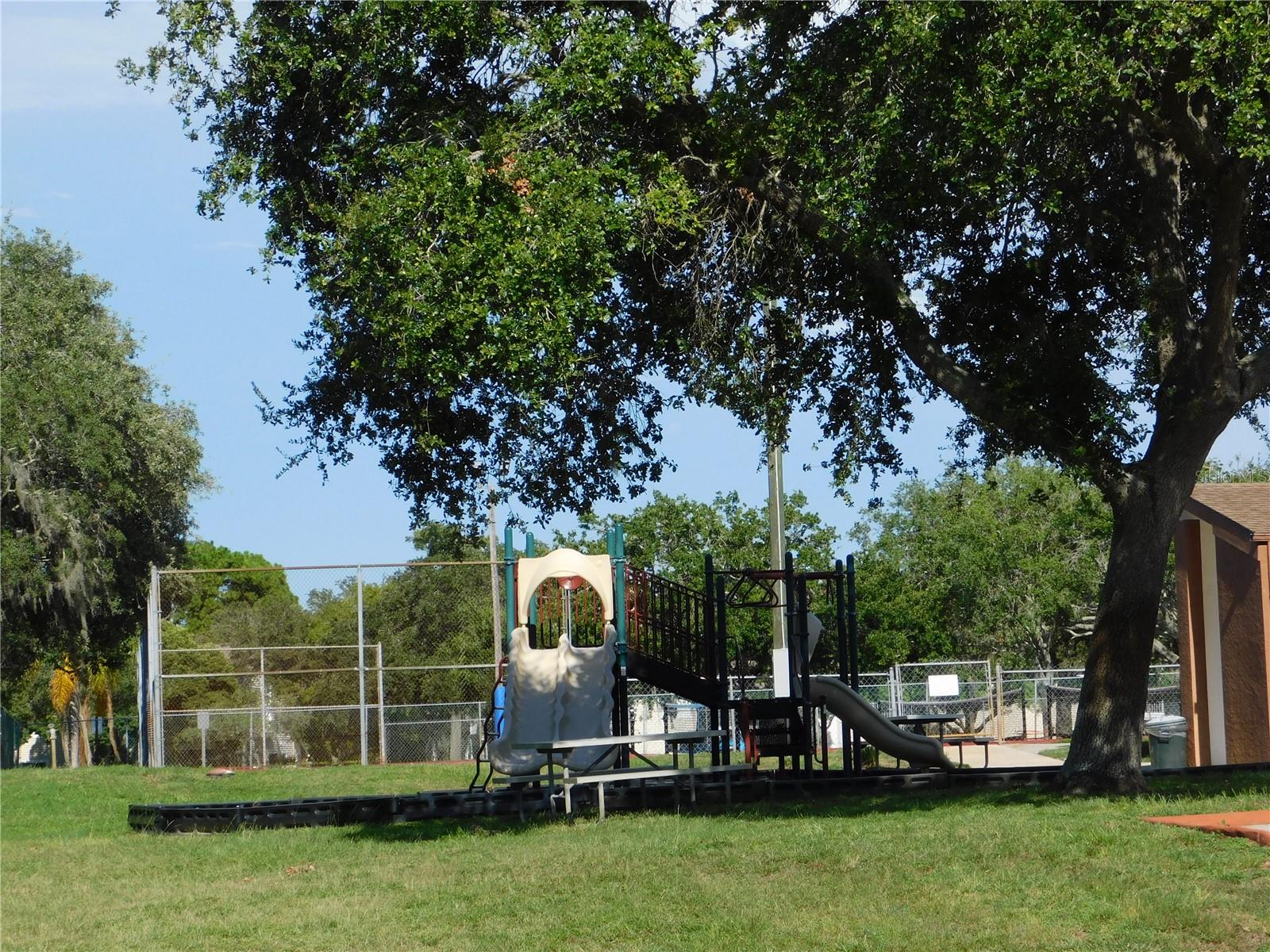 8020 HUNTERS WHIP ROW — photo 35