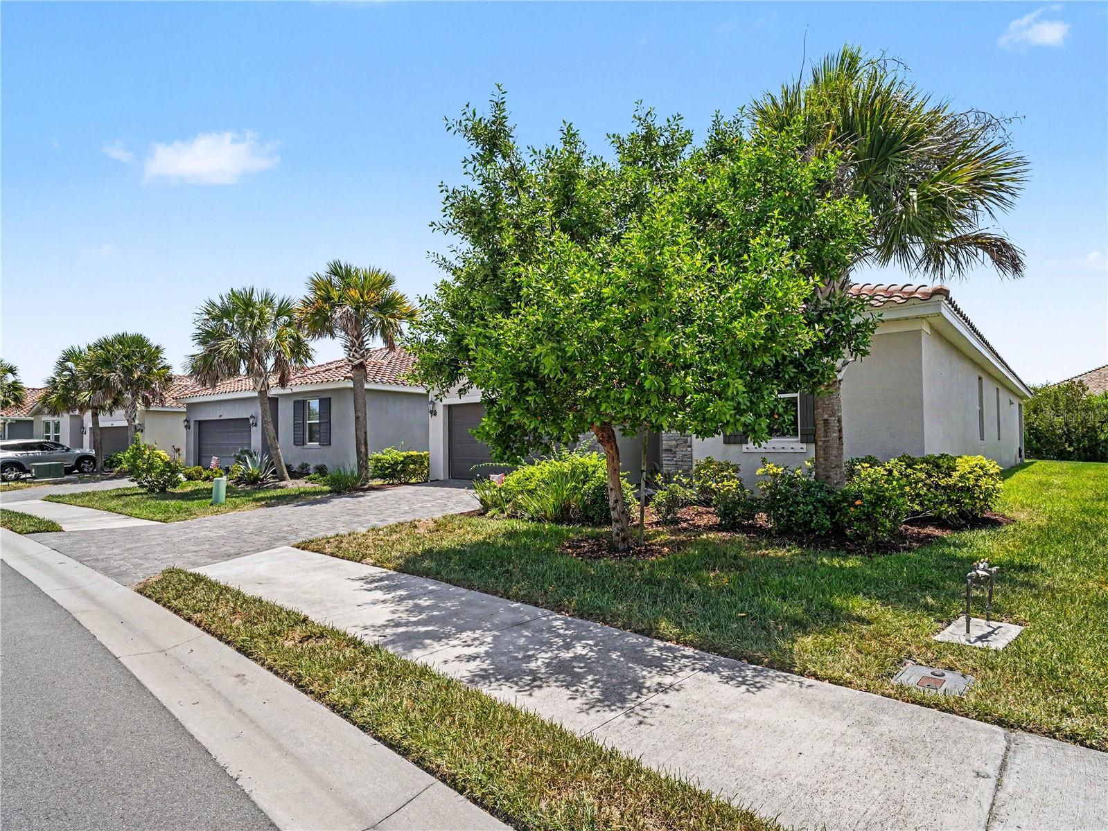 293 DAYLILY BLVD — photo 31