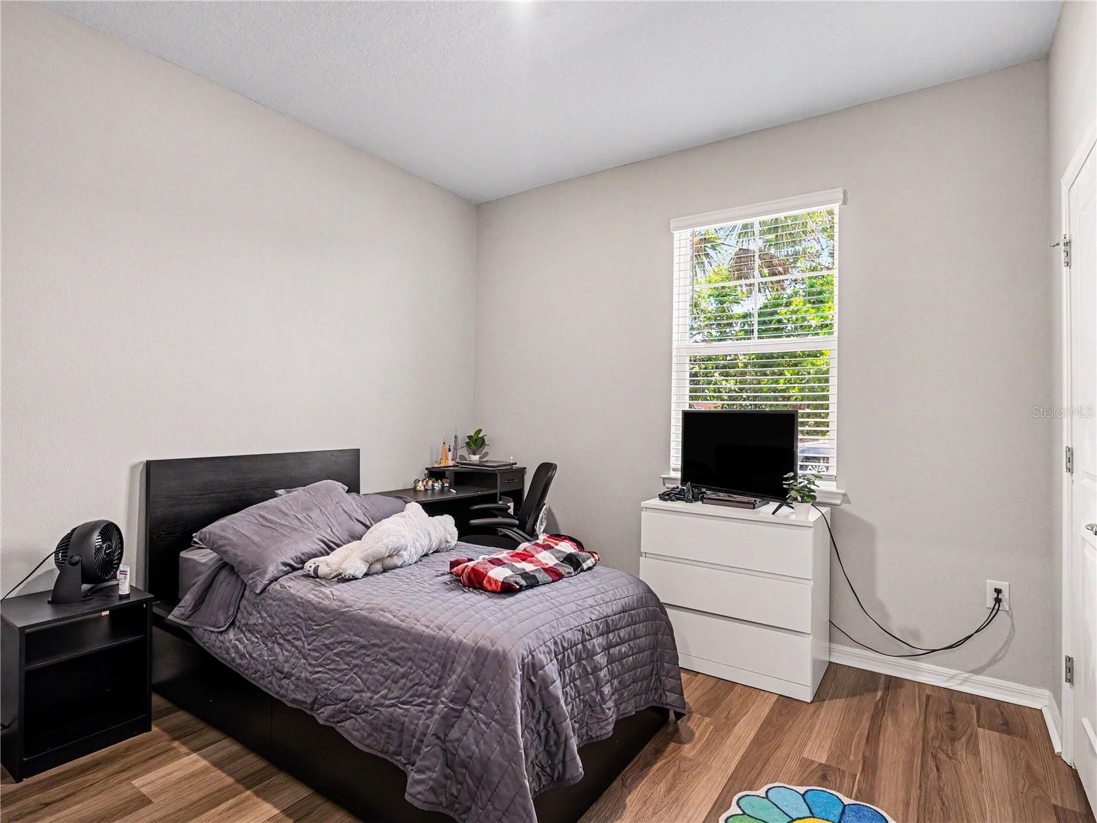 293 DAYLILY BLVD — photo 21