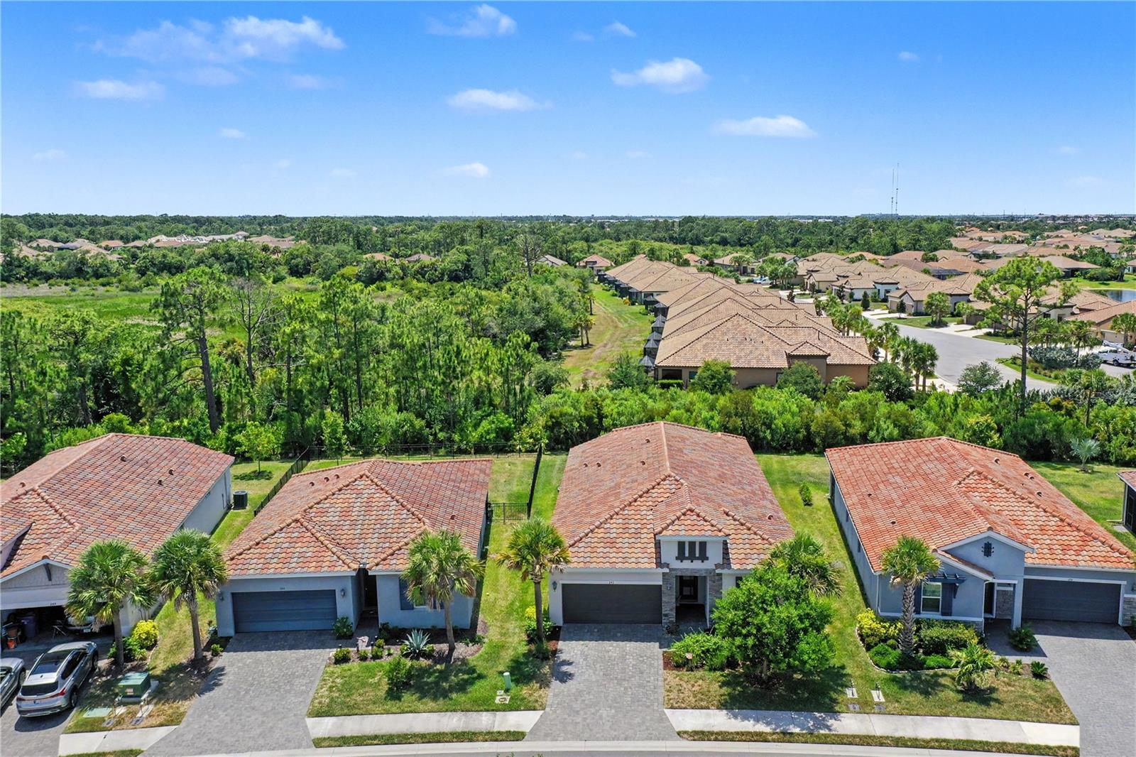 293 DAYLILY BLVD — photo 46