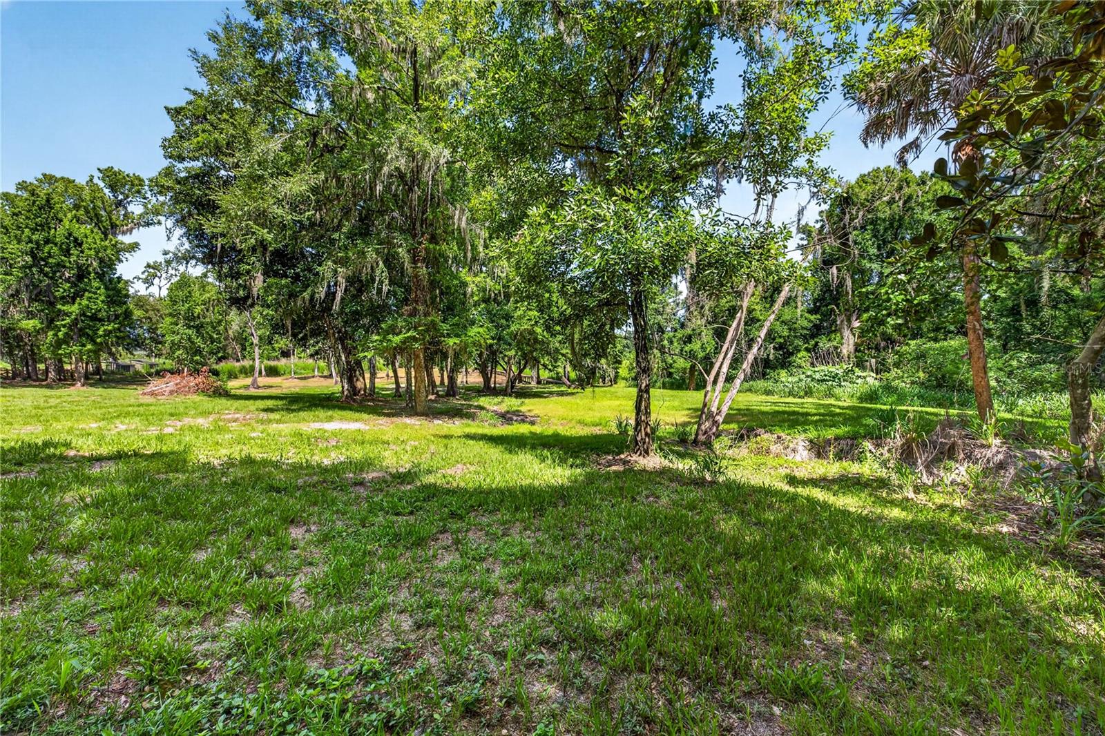 17265 MEADOW BLUFF VW — photo 73