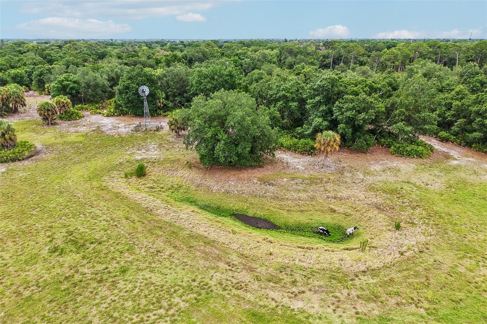 5005 BEE RIDGE RD — photo 29