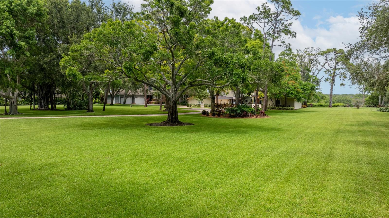 6305 BURNING TREE DR — photo 72