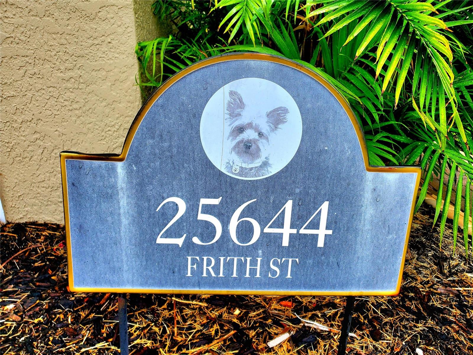 25644 FRITH ST — photo 71