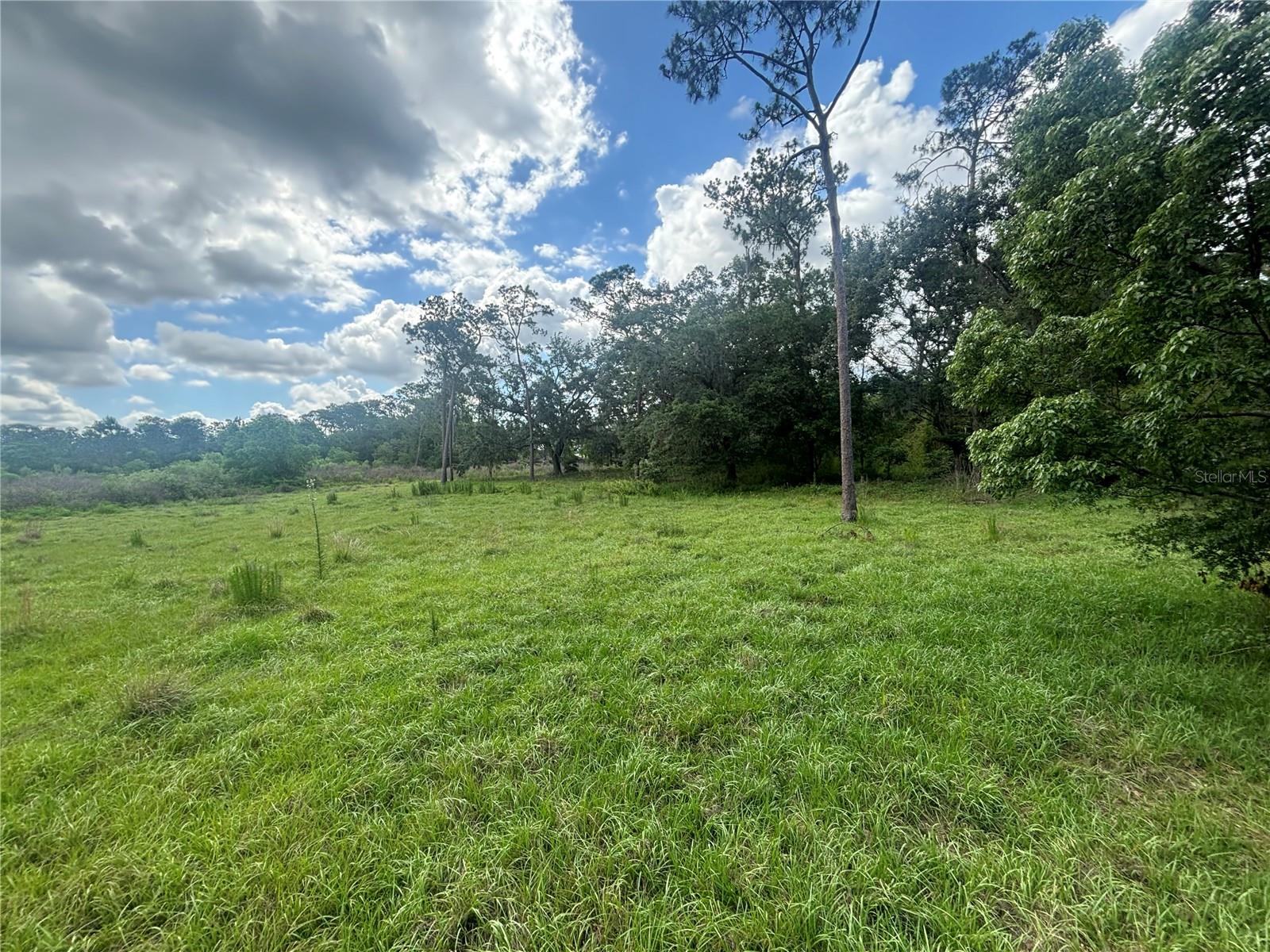 28651 TUPPER RD — photo 32