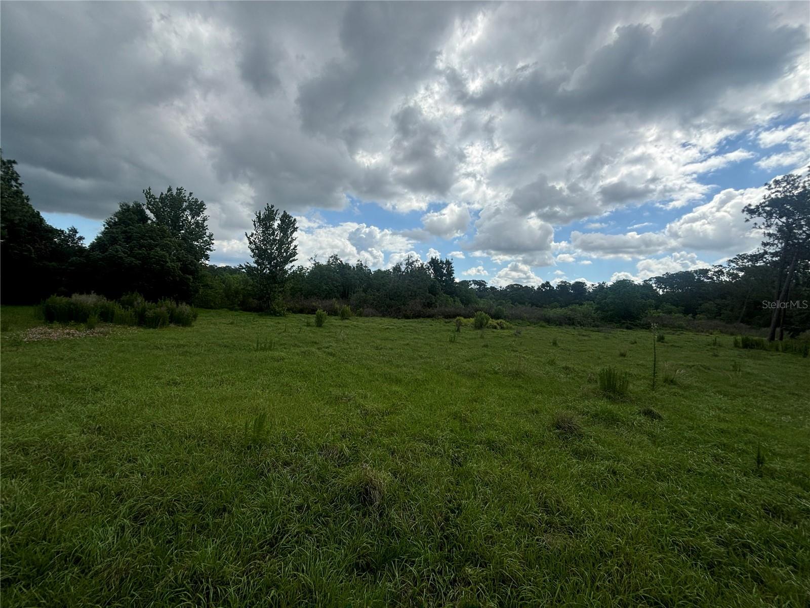 28651 TUPPER RD — photo 5