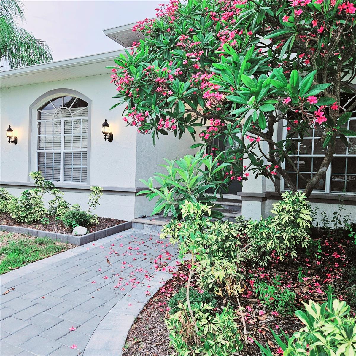 1415 BEACH CLUB LN — photo 3
