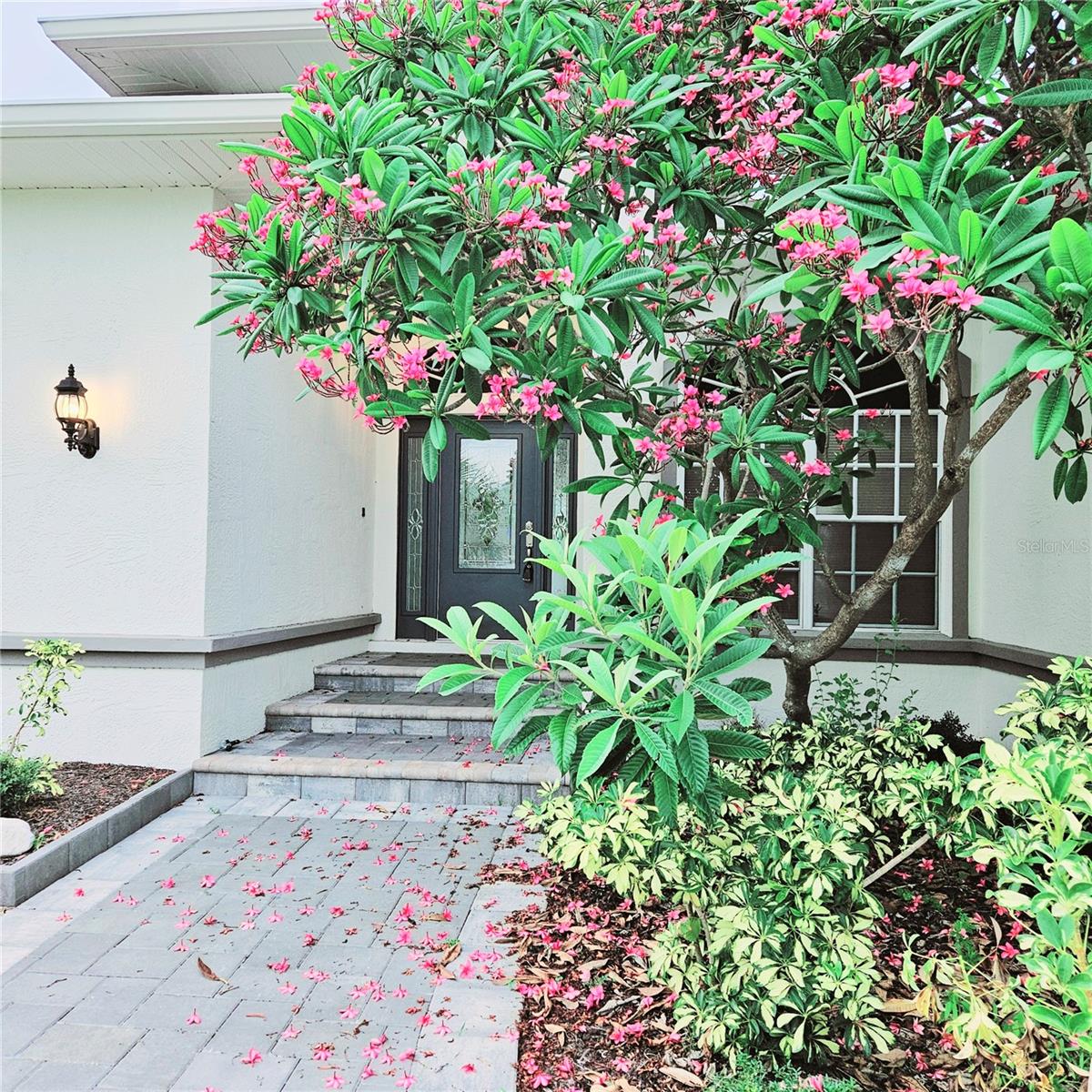 1415 BEACH CLUB LN — photo 4