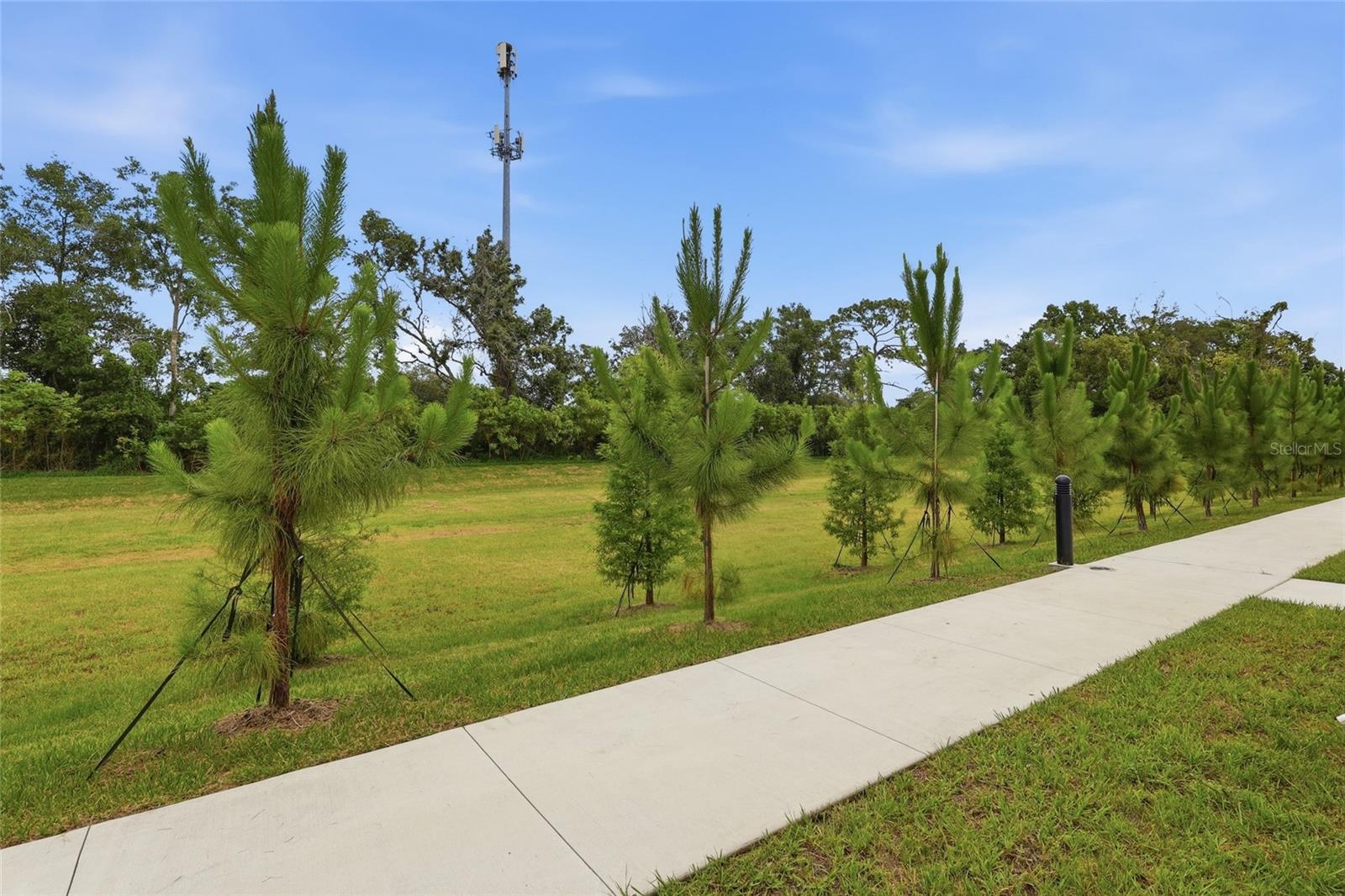 4369 CAMBIO GARDENS CT — photo 24