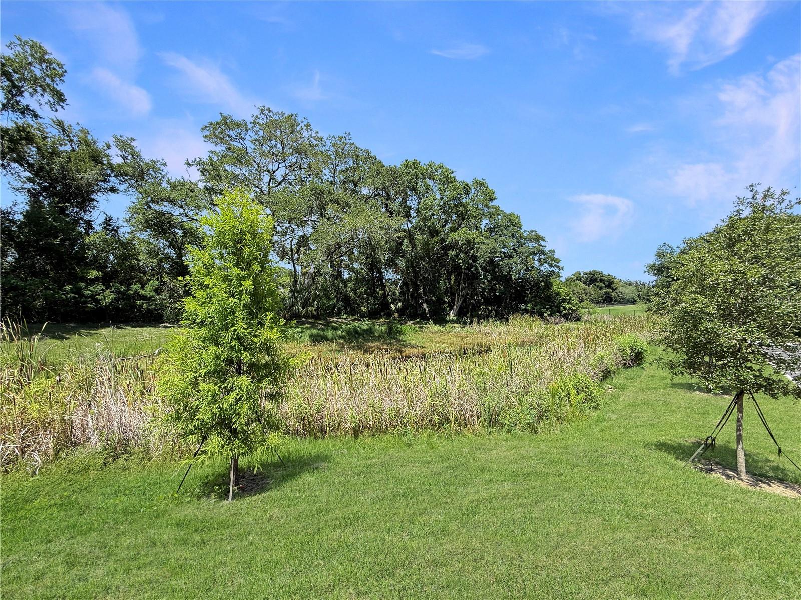 4345 CAMBIO GARDENS CT — photo 32