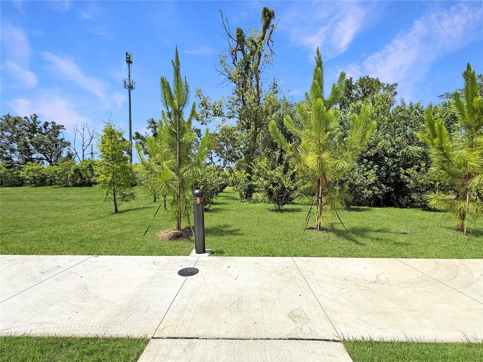 4345 CAMBIO GARDENS CT — photo 33