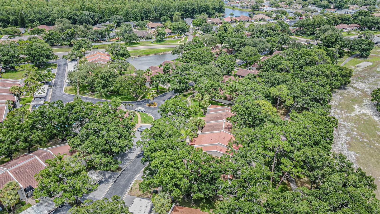 3505 TARPON WOODS BLVD #G405 — photo 26