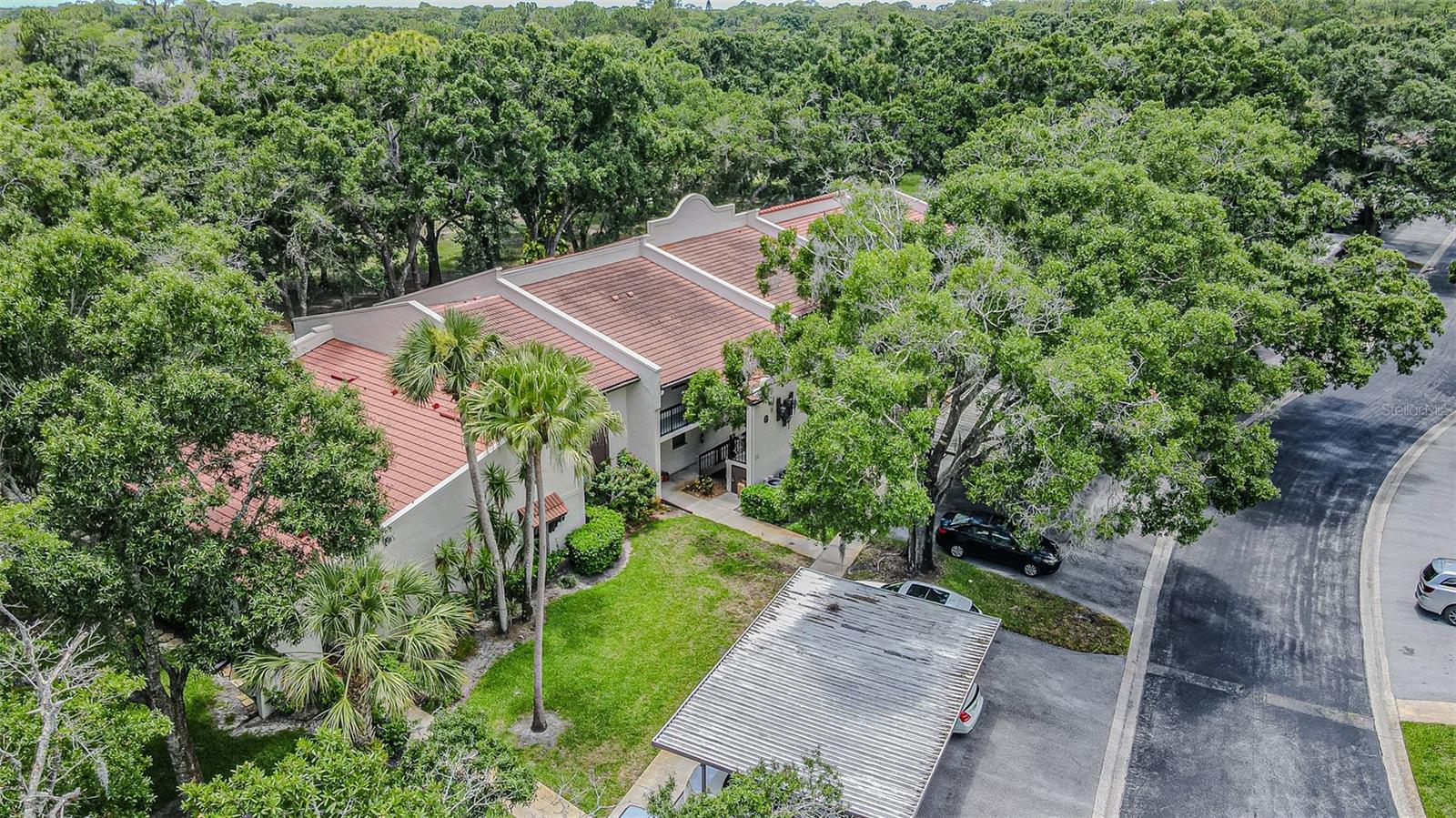 3505 TARPON WOODS BLVD #G405 — photo 25