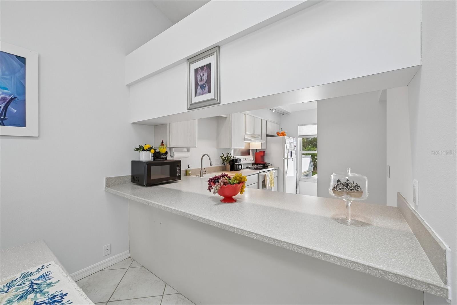 1041 CAPRI ISLES BLVD #209 — photo 15