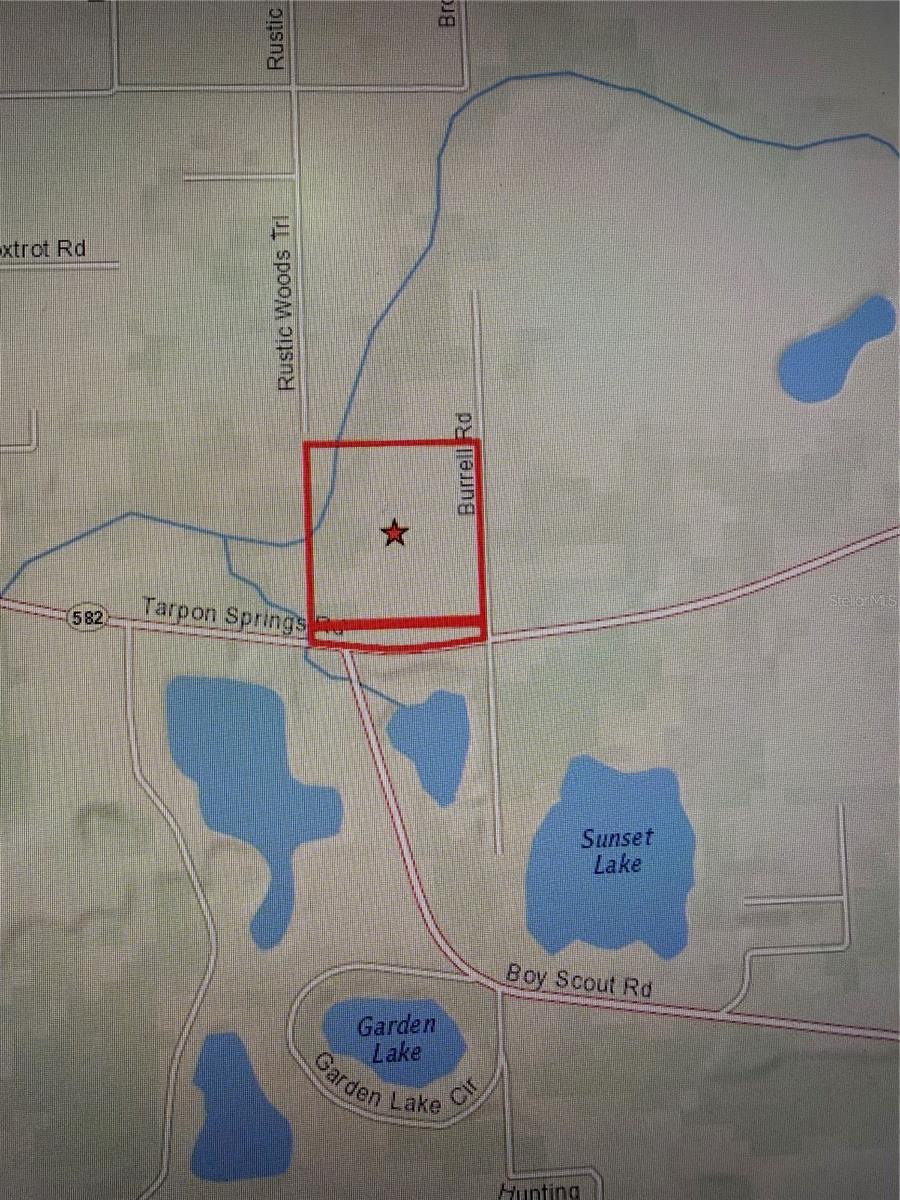 11819 TARPON SPRINGS RD — photo 3