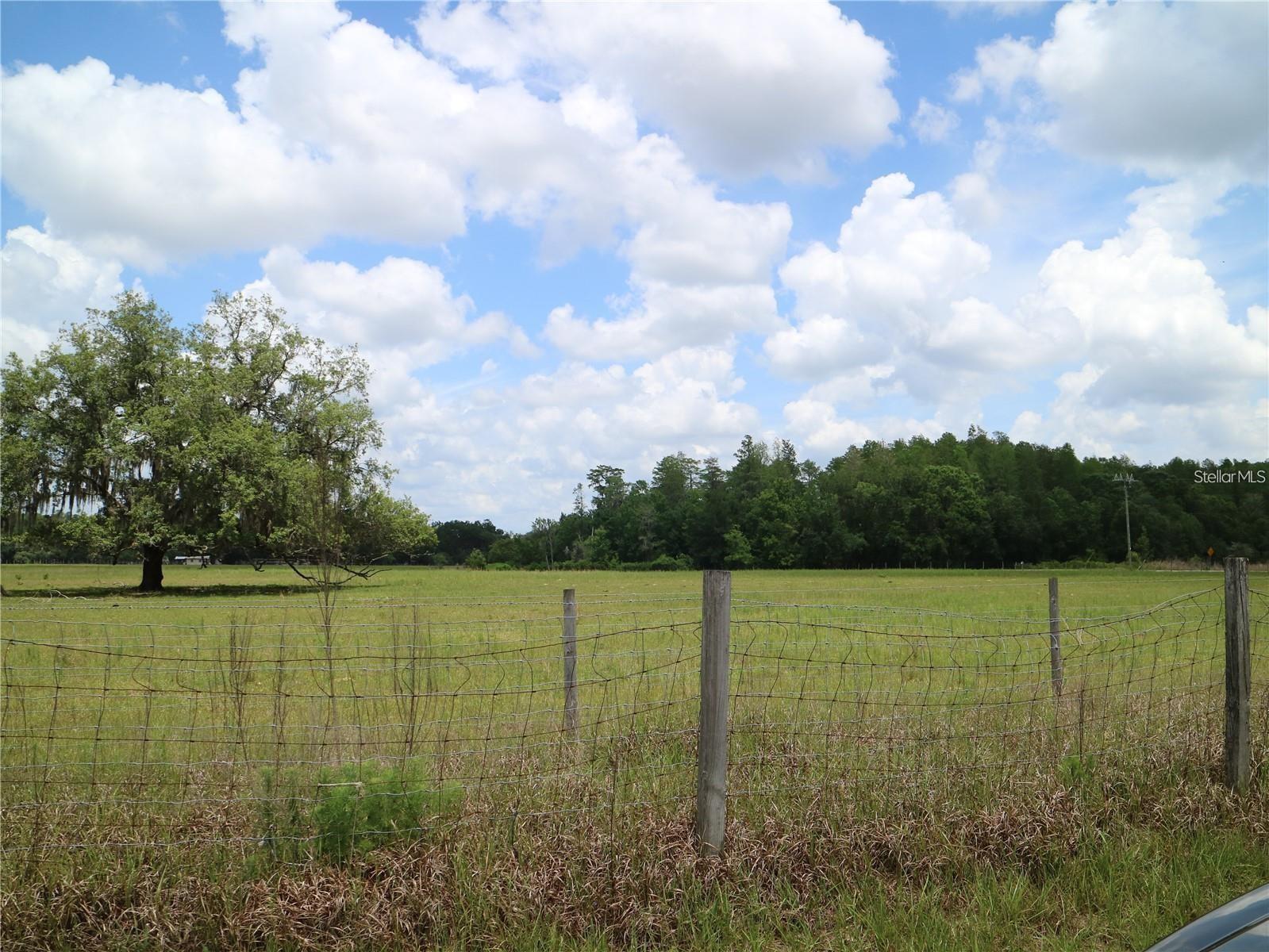 11819 TARPON SPRINGS RD — photo 7