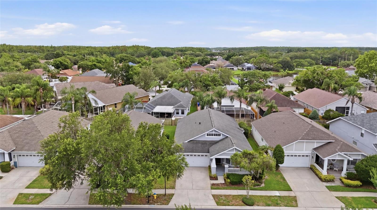 4613 CORSAGE DR — photo 44