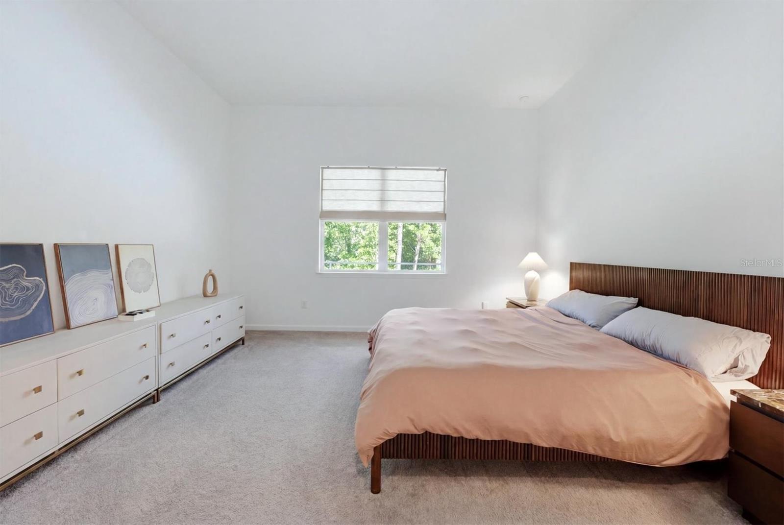 29248 CORAL HARBOUR DR — photo 20