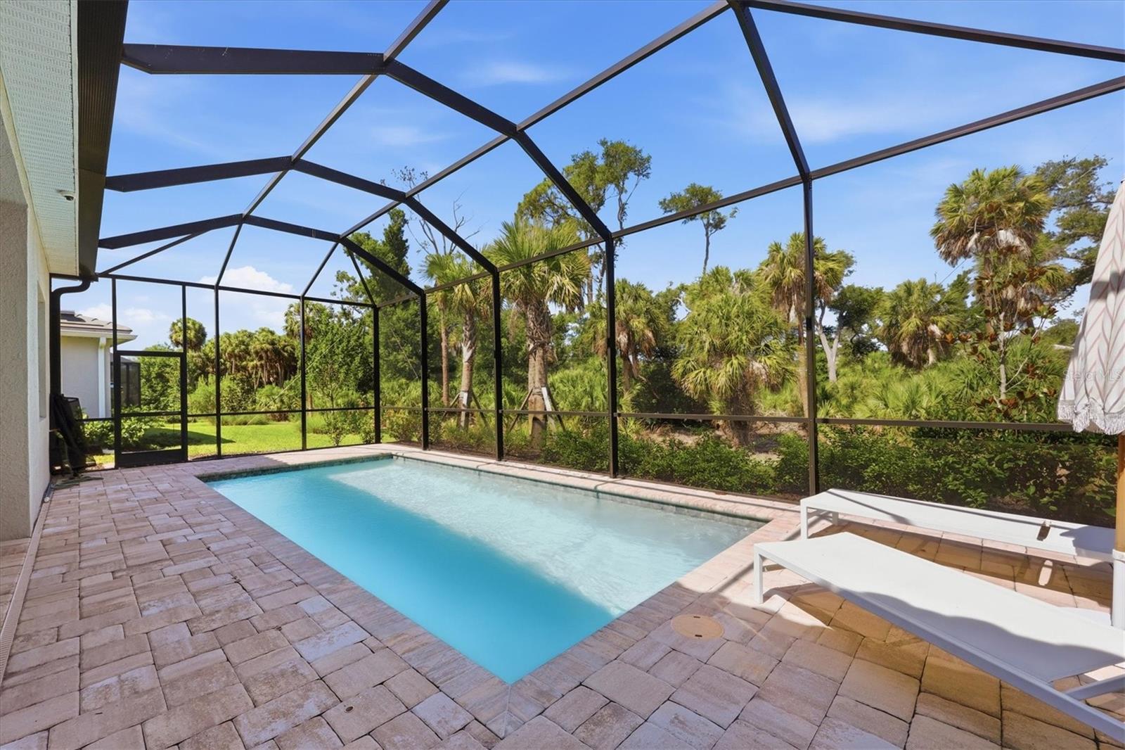 29248 CORAL HARBOUR DR — photo 35