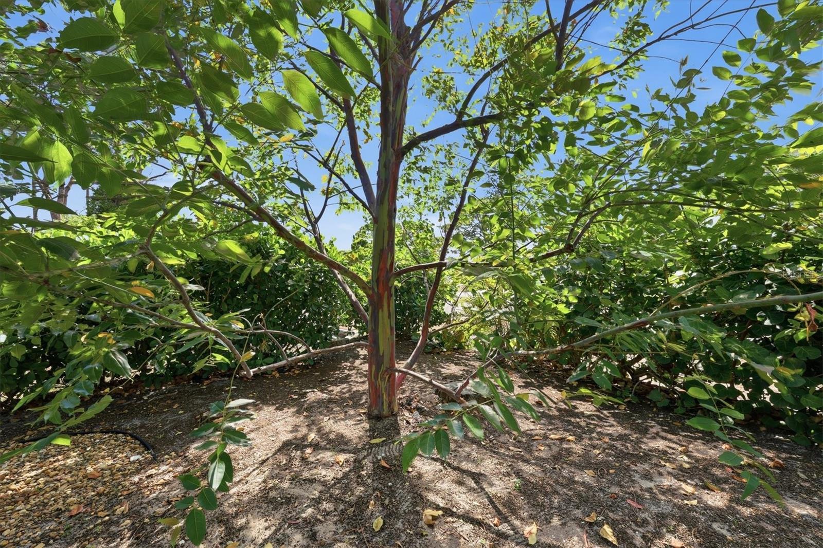 4821 EGRET RD — photo 44