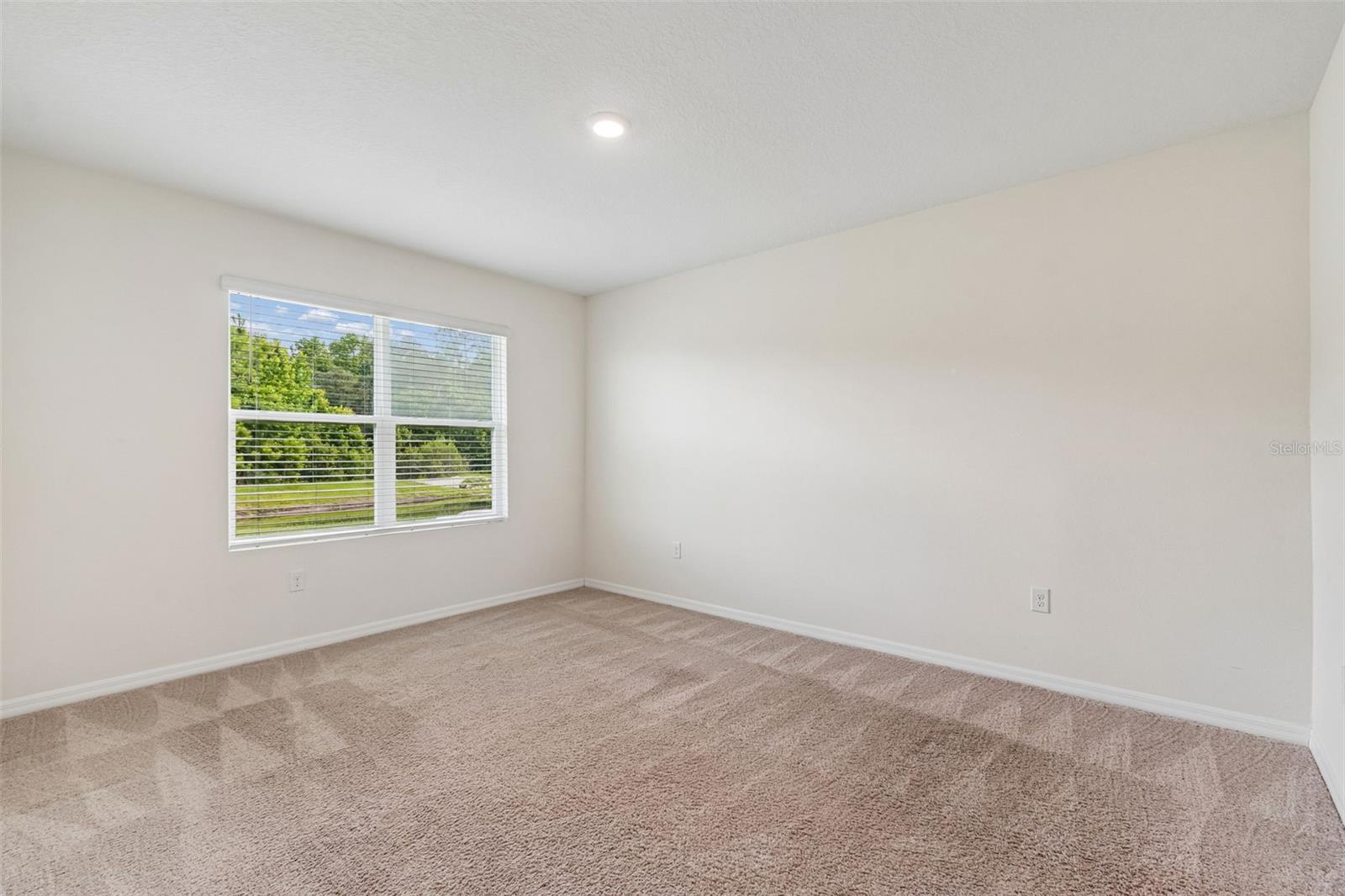 35525 STELLA VAST DR — photo 34