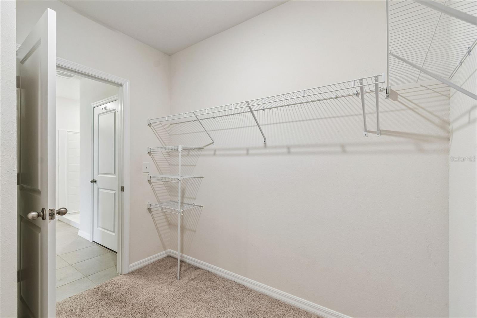 35525 STELLA VAST DR — photo 42