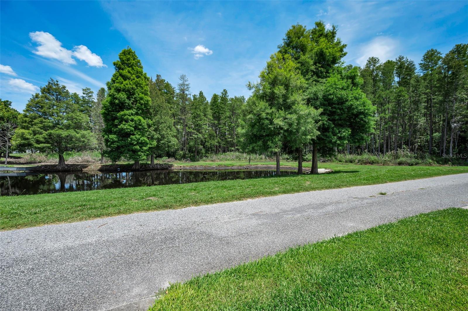 10403 MICANOPY ST — photo 41